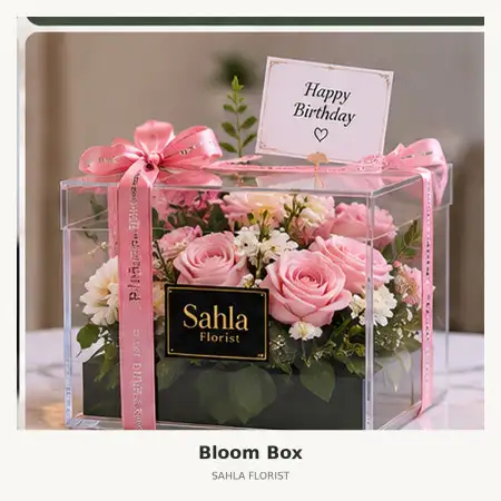 Bloom Box Bsb City